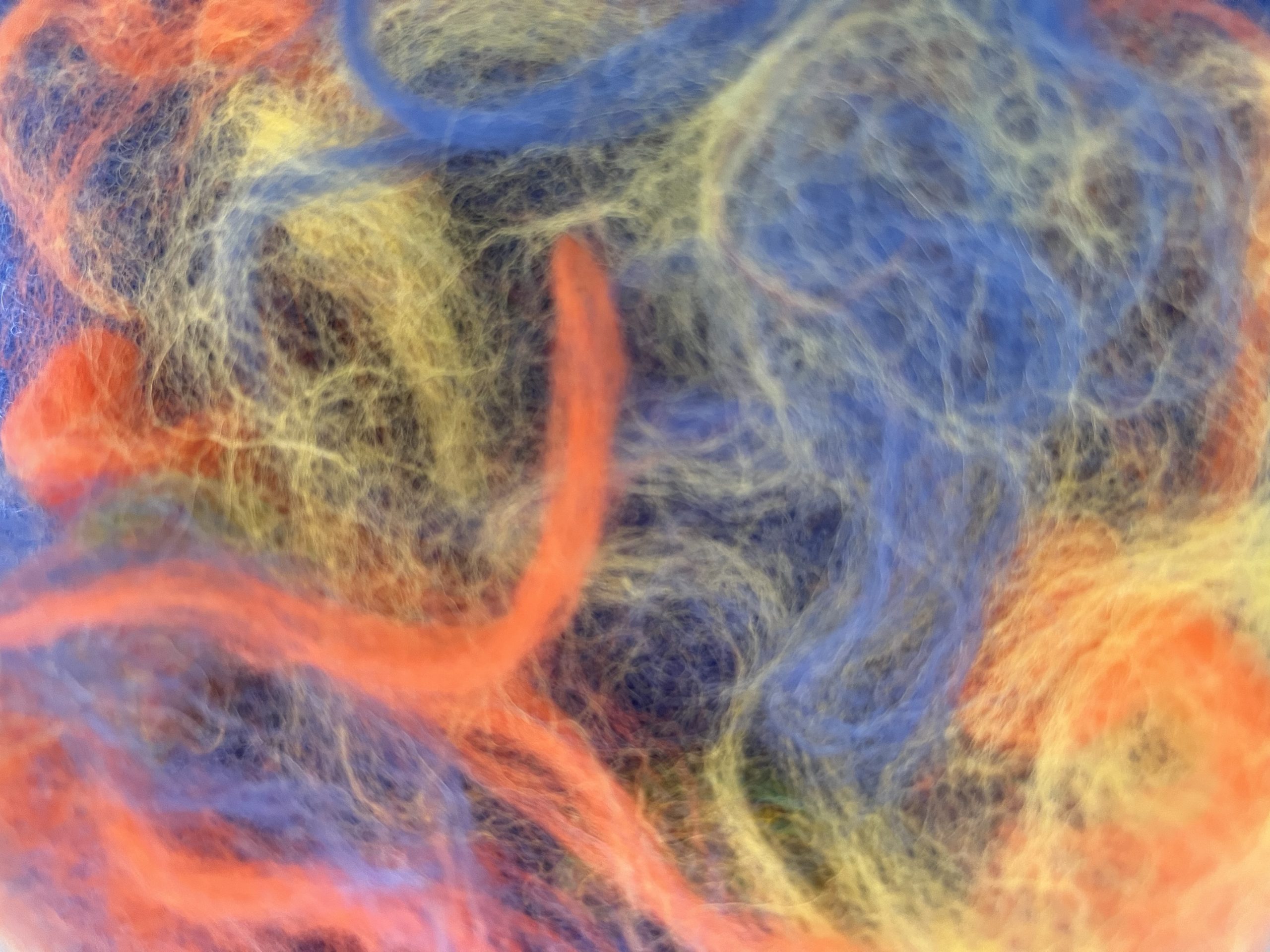 ¿Por qué algunos de nuestros fieltros son tan especiales?